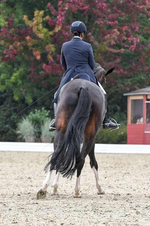 Anakenenhof    Dressur  25.08.2023 | Anakenenhof Prfg 3_031 