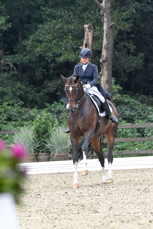 Anakenenhof    Dressur  25.08.2023 | Anakenenhof Prfg 3_032 
