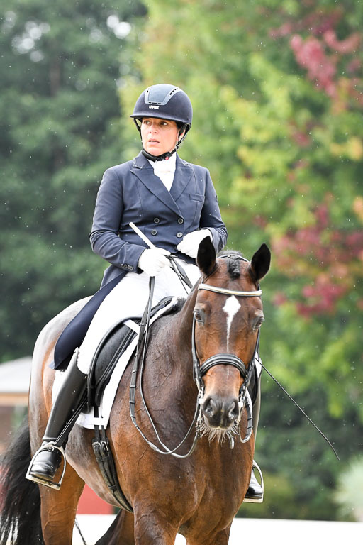 Anakenenhof    Dressur  25.08.2023 | Anakenenhof Prfg 3_038 