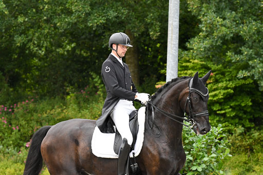 Anakenenhof    Dressur  25.08.2023 | Anakenenhof Prfg 3_051 