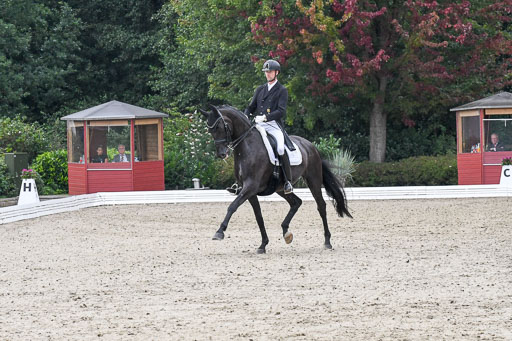 Anakenenhof    Dressur  25.08.2023 | Anakenenhof Prfg 3_053 