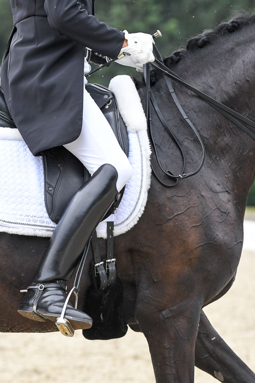 Anakenenhof    Dressur  25.08.2023 | Anakenenhof Prfg 3_056 