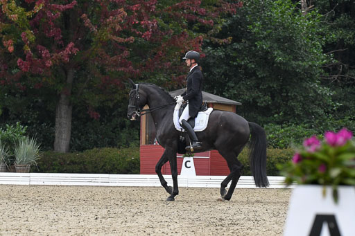 Anakenenhof    Dressur  25.08.2023 | Anakenenhof Prfg 3_057 