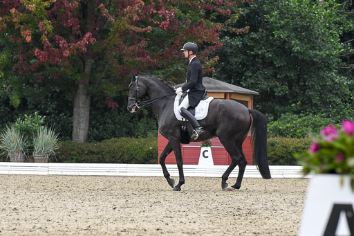Anakenenhof    Dressur  25.08.2023 | Anakenenhof Prfg 3_058 