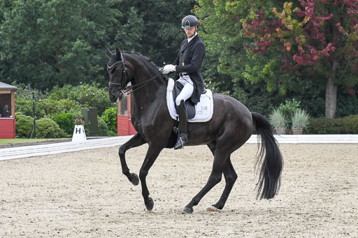 Anakenenhof    Dressur  25.08.2023 | Anakenenhof Prfg 3_063 