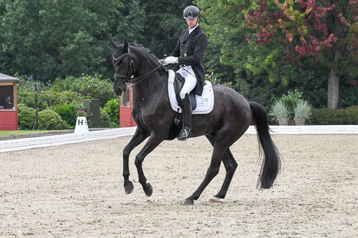 Anakenenhof    Dressur  25.08.2023 | Anakenenhof Prfg 3_064 