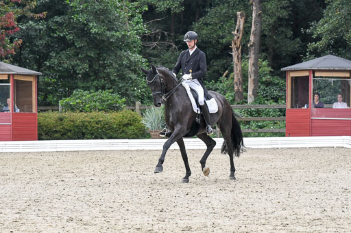 Anakenenhof    Dressur  25.08.2023 | Anakenenhof Prfg 3_066 