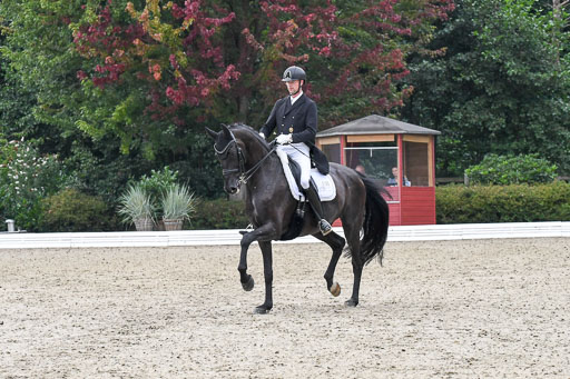 Anakenenhof    Dressur  25.08.2023 | Anakenenhof Prfg 3_067 