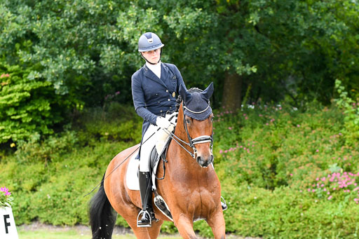 Anakenenhof    Dressur  25.08.2023 | Anakenenhof Prfg 3_075 