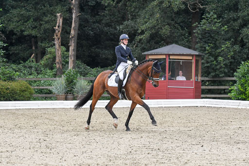 Anakenenhof    Dressur  25.08.2023 | Anakenenhof Prfg 3_077 