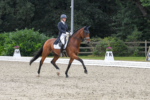 Anakenenhof    Dressur  25.08.2023 | Anakenenhof Prfg 3_079 