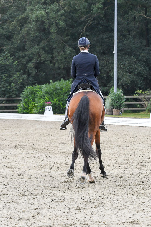 Anakenenhof    Dressur  25.08.2023 | Anakenenhof Prfg 3_080 