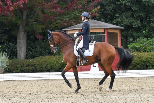Anakenenhof    Dressur  25.08.2023 | Anakenenhof Prfg 3_084 