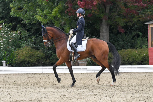 Anakenenhof    Dressur  25.08.2023 | Anakenenhof Prfg 3_085 