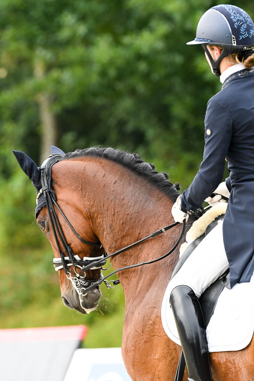 Anakenenhof    Dressur  25.08.2023 | Anakenenhof Prfg 3_086 
