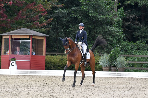 Anakenenhof    Dressur  25.08.2023 | Anakenenhof Prfg 3_089 