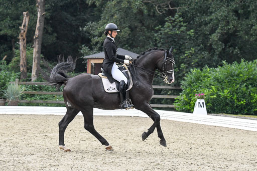 Anakenenhof    Dressur  25.08.2023 | Anakenenhof Prfg 3_098 