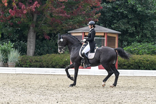 Anakenenhof    Dressur  25.08.2023 | Anakenenhof Prfg 3_118 