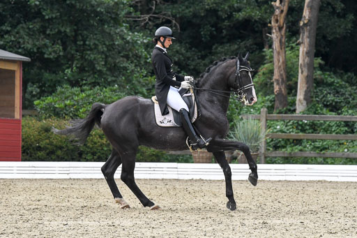 Anakenenhof    Dressur  25.08.2023 | Anakenenhof Prfg 3_126 