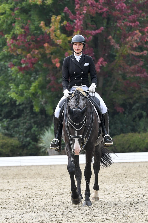 Anakenenhof    Dressur  25.08.2023 | Anakenenhof Prfg 3_130 