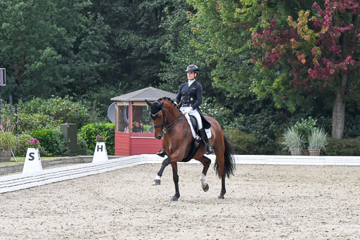 Anakenenhof    Dressur  25.08.2023 | Anakenenhof Prfg 3_137 