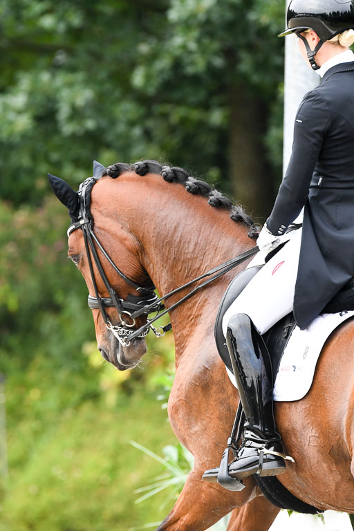 Anakenenhof    Dressur  25.08.2023 | Anakenenhof Prfg 3_142 