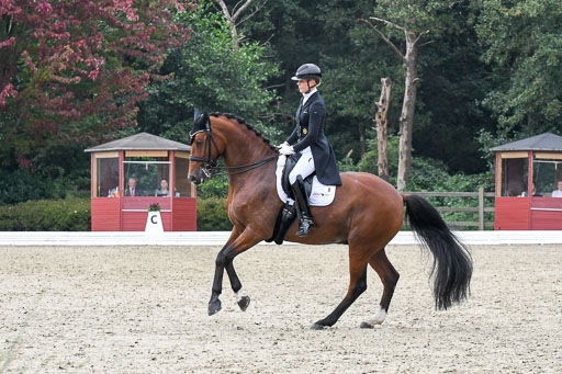 Anakenenhof    Dressur  25.08.2023 | Anakenenhof Prfg 3_147 