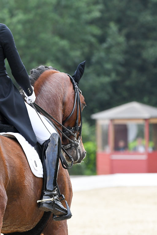 Anakenenhof    Dressur  25.08.2023 | Anakenenhof Prfg 3_152 