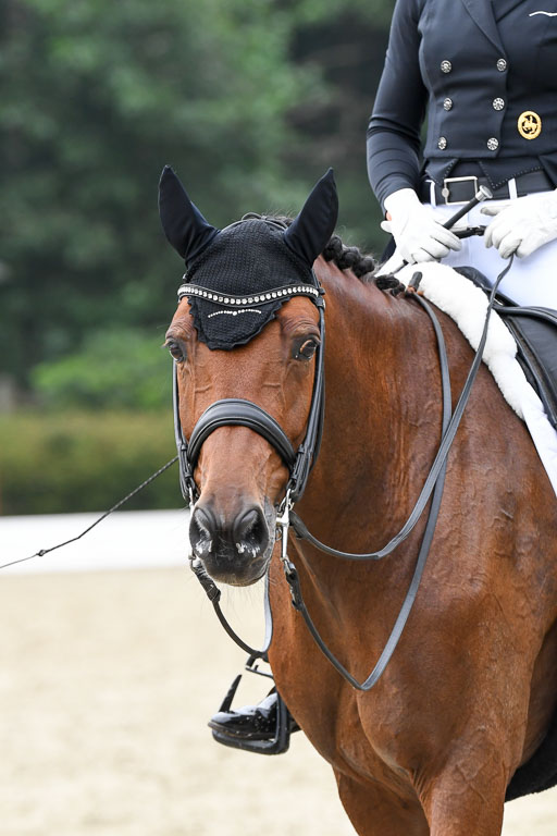 Anakenenhof    Dressur  25.08.2023 | Anakenenhof Prfg 3_155 