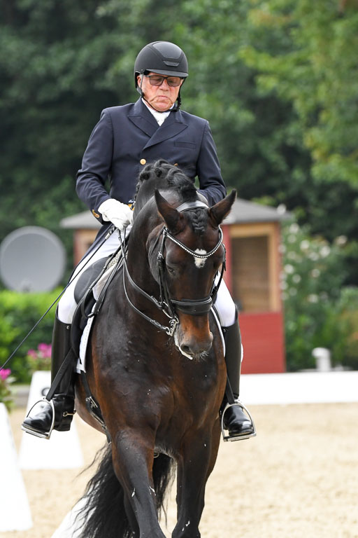 Anakenenhof    Dressur  25.08.2023 | Anakenenhof Prfg 3_162 