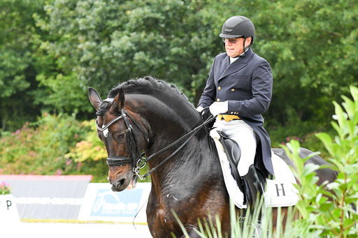 Anakenenhof    Dressur  25.08.2023 | Anakenenhof Prfg 3_170 