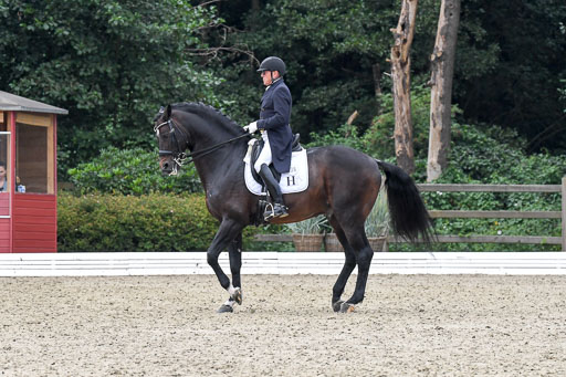 Anakenenhof    Dressur  25.08.2023 | Anakenenhof Prfg 3_175 