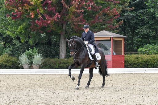 Anakenenhof    Dressur  25.08.2023 | Anakenenhof Prfg 3_177 