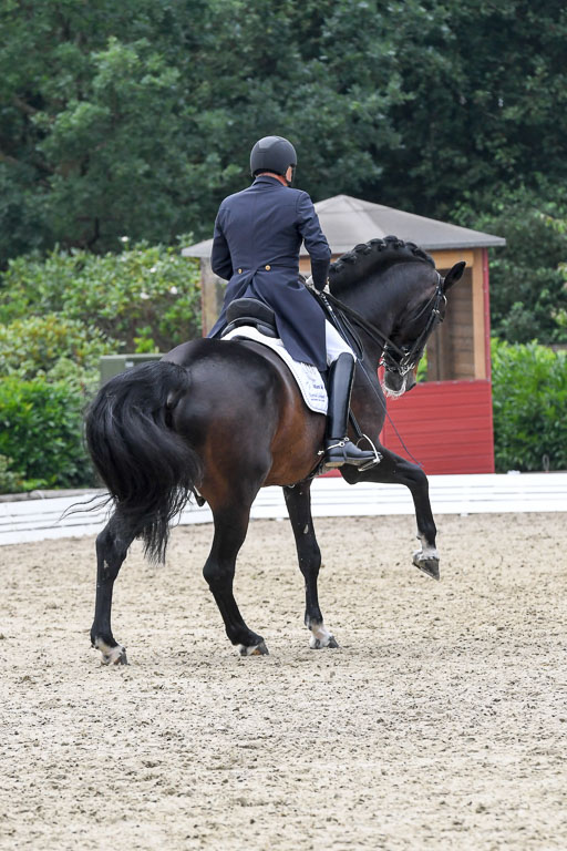 Anakenenhof    Dressur  25.08.2023 | Anakenenhof Prfg 3_178 