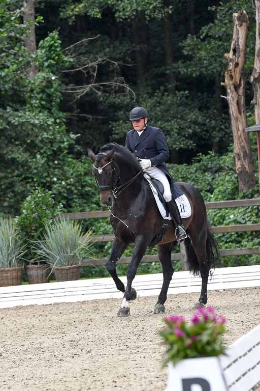 Anakenenhof    Dressur  25.08.2023 | Anakenenhof Prfg 3_179 