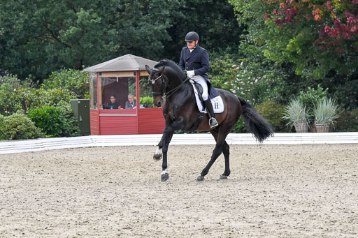 Anakenenhof    Dressur  25.08.2023 | Anakenenhof Prfg 3_182 