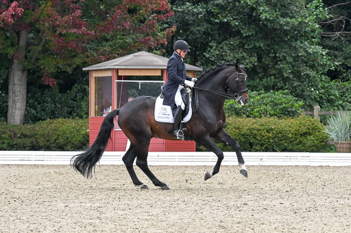 Anakenenhof    Dressur  25.08.2023 | Anakenenhof Prfg 3_187 