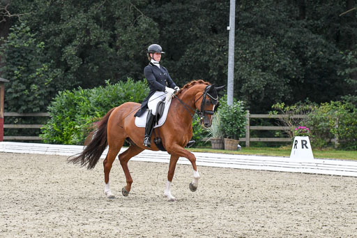 Anakenenhof    Dressur  25.08.2023 | Anakenenhof Prfg 3_199 