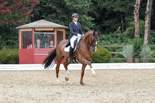 Anakenenhof    Dressur  25.08.2023 | Anakenenhof Prfg 3_217 