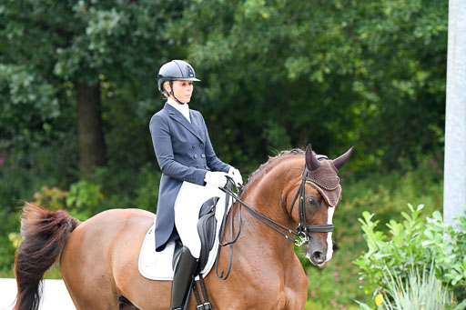 Anakenenhof    Dressur  25.08.2023 | Anakenenhof Prfg 3_219 