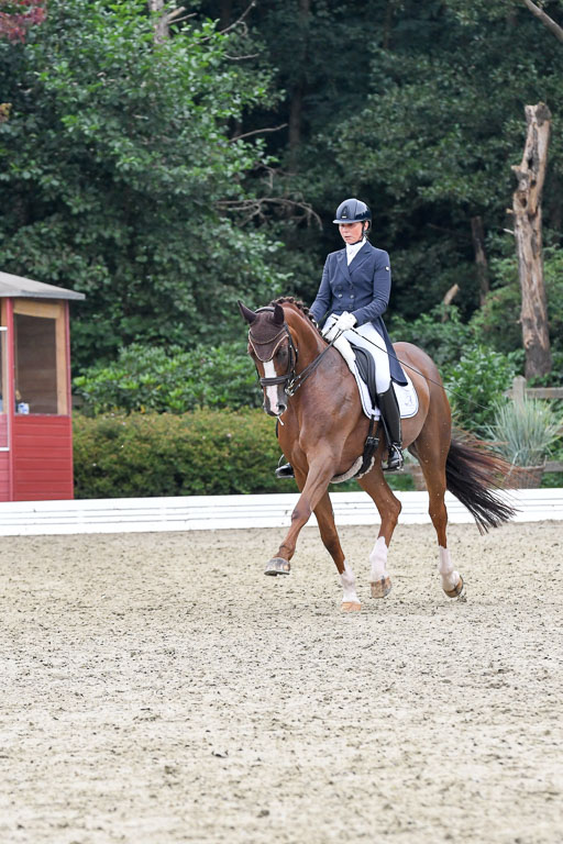 Anakenenhof    Dressur  25.08.2023 | Anakenenhof Prfg 3_223 