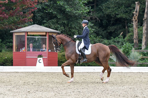 Anakenenhof    Dressur  25.08.2023 | Anakenenhof Prfg 3_225 
