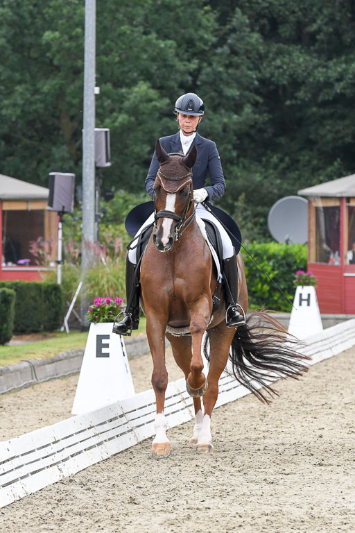Anakenenhof    Dressur  25.08.2023 | Anakenenhof Prfg 3_227 