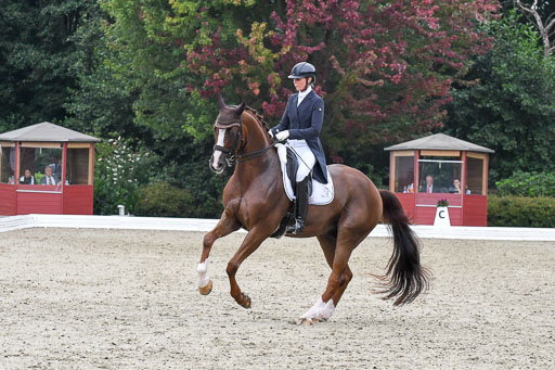 Anakenenhof    Dressur  25.08.2023 | Anakenenhof Prfg 3_236 