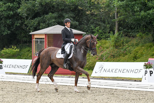Anakenenhof    Dressur  25.08.2023 | Anakenenhof Prfg 3_243 