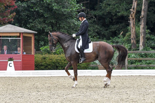 Anakenenhof    Dressur  25.08.2023 | Anakenenhof Prfg 3_250 