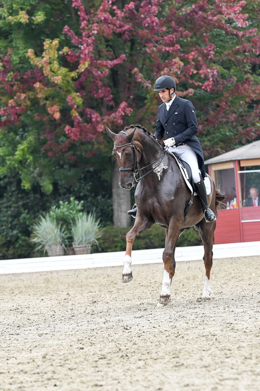 Anakenenhof    Dressur  25.08.2023 | Anakenenhof Prfg 3_253 