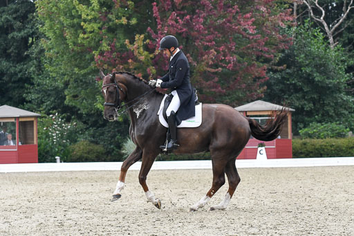 Anakenenhof    Dressur  25.08.2023 | Anakenenhof Prfg 3_255 