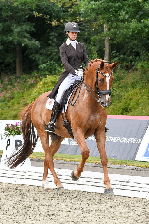 Anakenenhof    Dressur  25.08.2023 | Anakenenhof Prfg 3_257 
