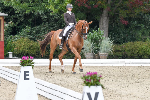 Anakenenhof    Dressur  25.08.2023 | Anakenenhof Prfg 3_259 